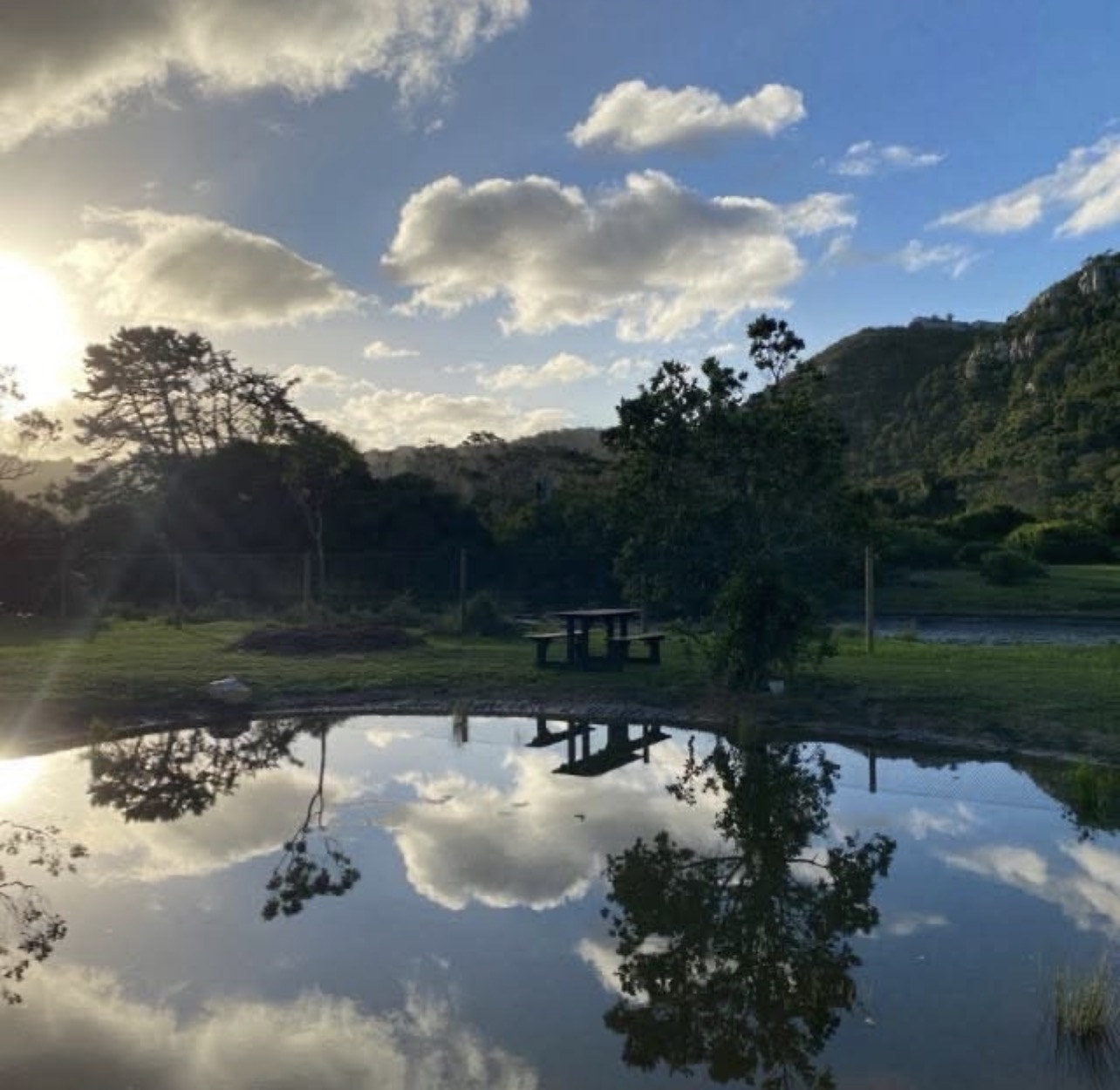 The pond at The Happy Place reflecting trees and clouds, with a picnic table and green hills beyond