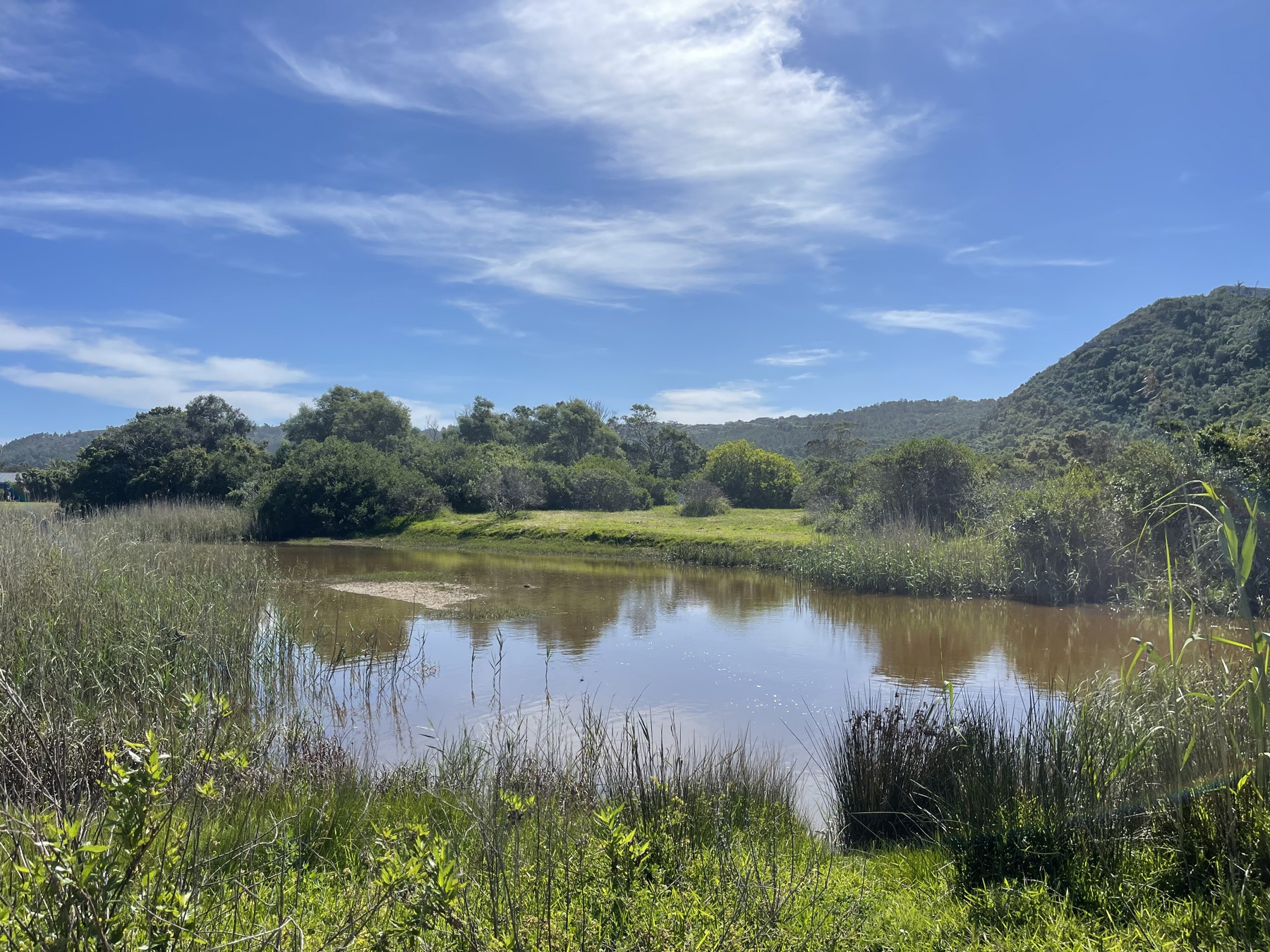 The Wildside: water surrounded by reeds and trees, with green hills beyond